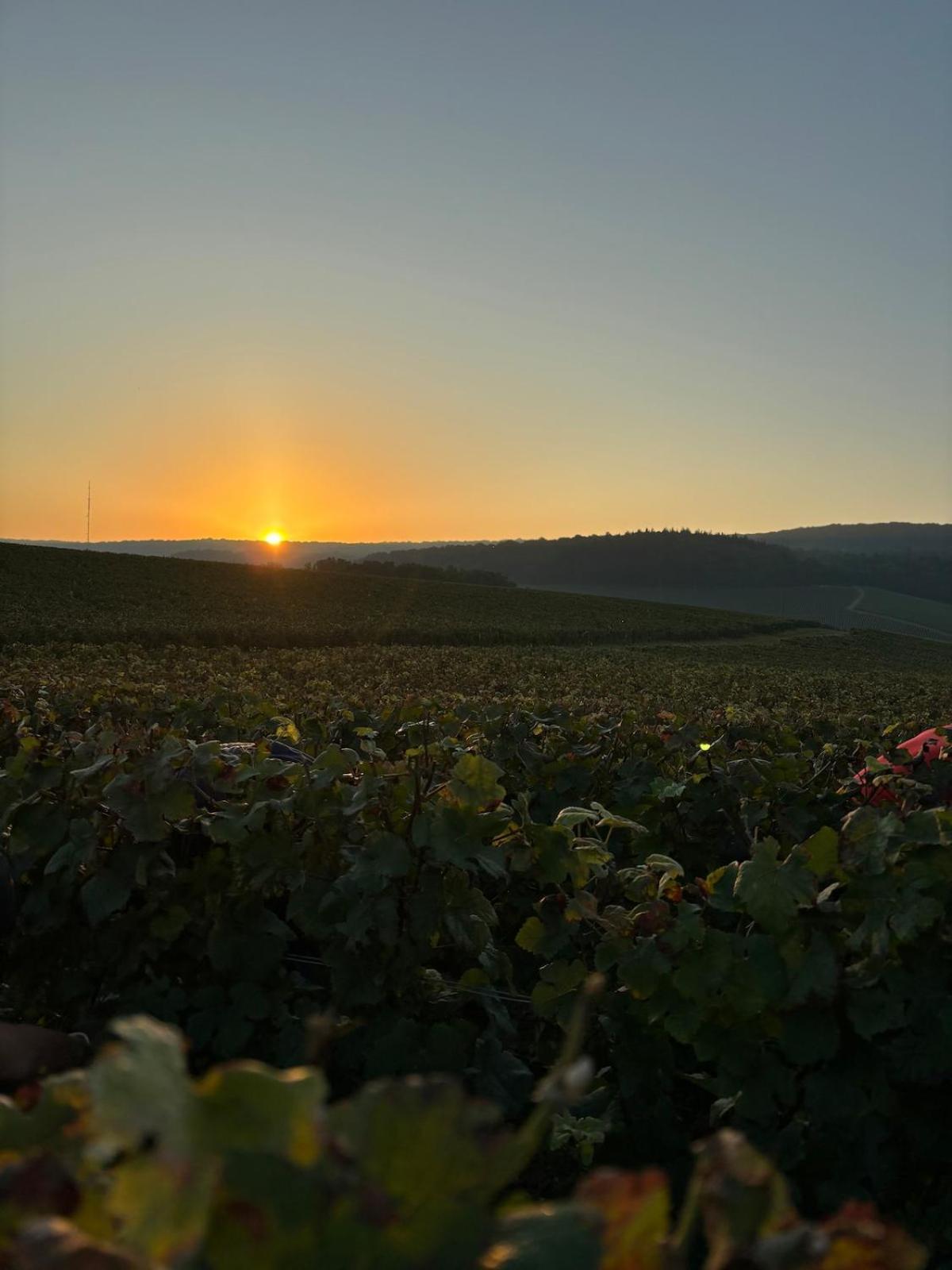 La Galipette, Charmant Chalet En Champagne Fleury-la-Riviere Dış mekan fotoğraf